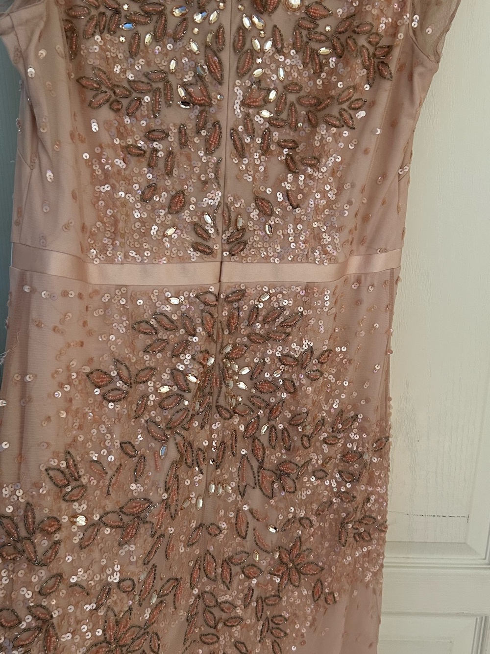 Adrianna Papell Blush Sequin & Bead Embellished Evening Bodice 12